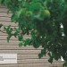 Сайдинг Ю-Пласт TIMBERBLOCK Пихта (Тимберблок) Cахалинская купить в Тольятти
