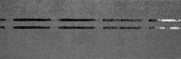 Коньково-карнизная черепица Docke Premium, черника купить в Тольятти